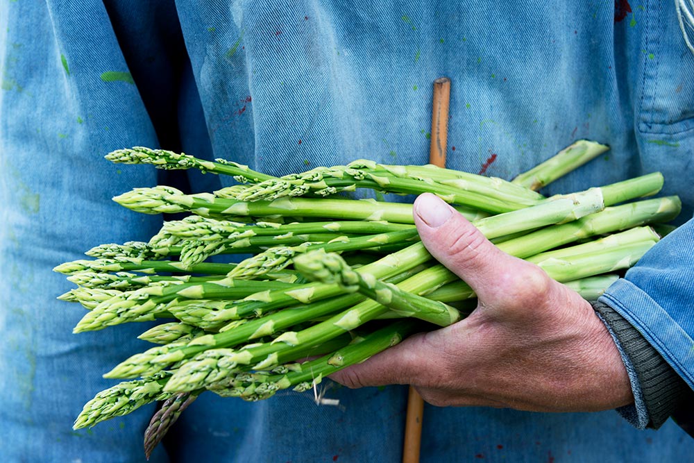 When is British asparagus season?