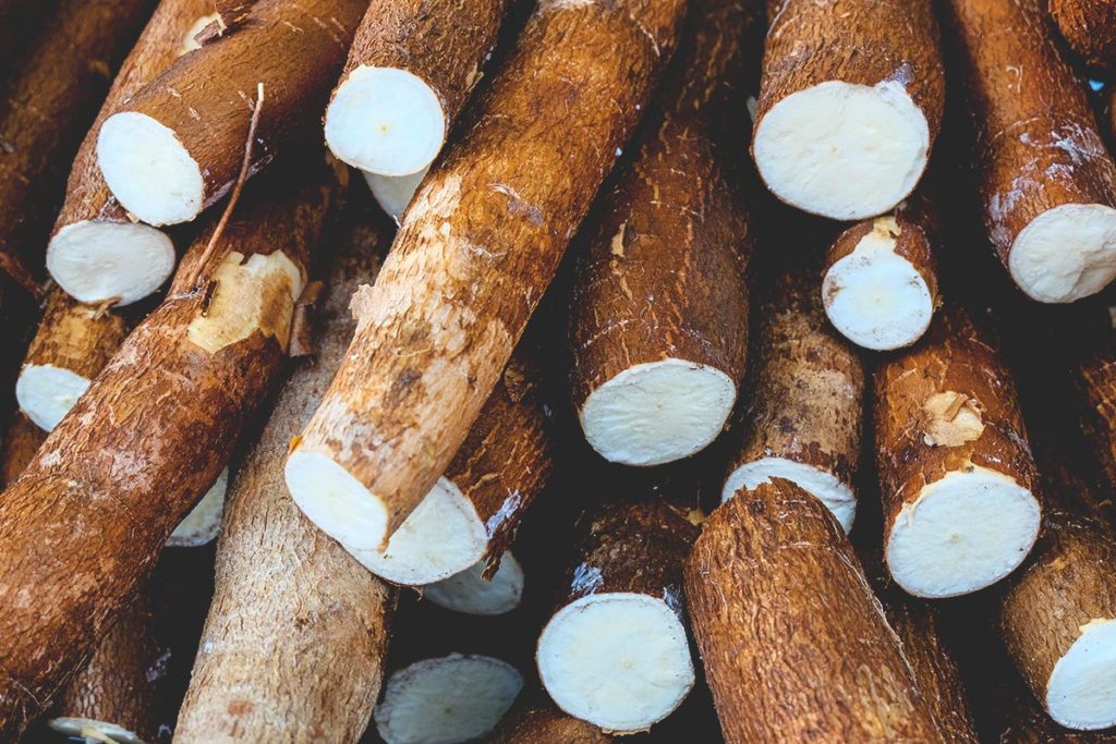 chef's guide to cassava