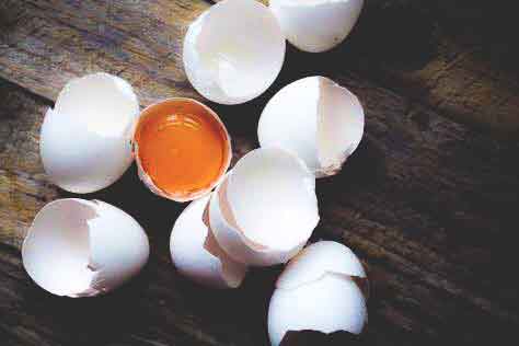 Arlington White hen eggs