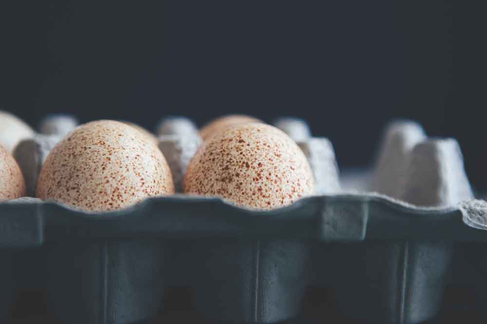 Turkey eggs