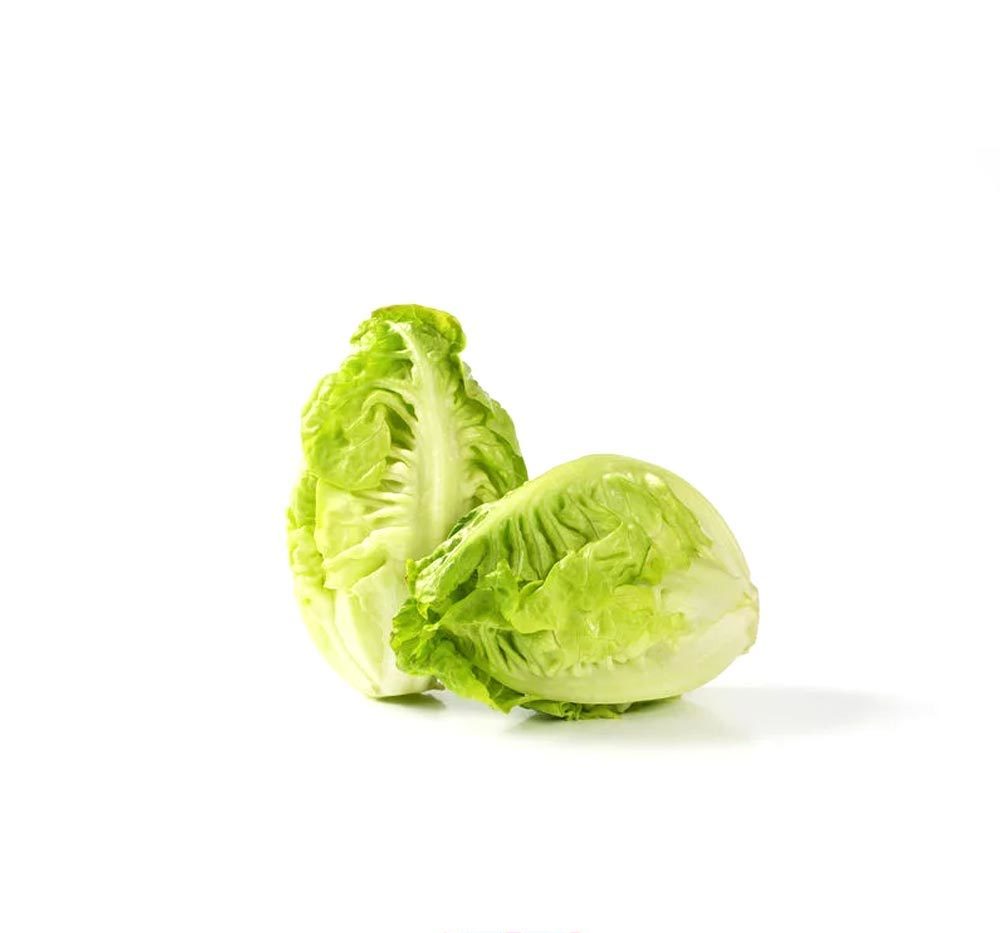 Baby Gem Lettuce x 2 - First Choice Produce