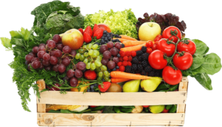 Fresh Food Delivery | First Choice Produce
